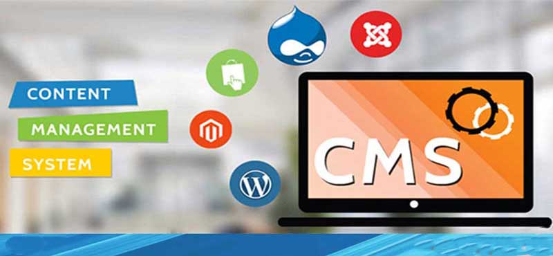 CMS site tasarımı