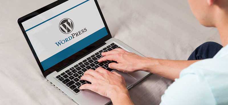 Wordpress Sitesi