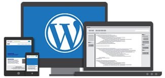 wordpress tema tasarım hizmeti